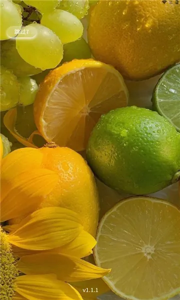 �����ջ������ֻ���v1.1.6 �ٷ������ͼ2