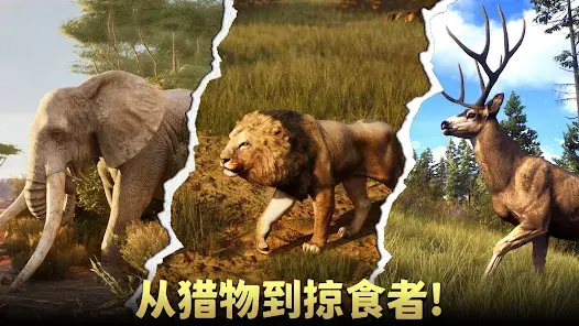 �������ˣ���Ұ�ѻ������°�׿���ͼ2