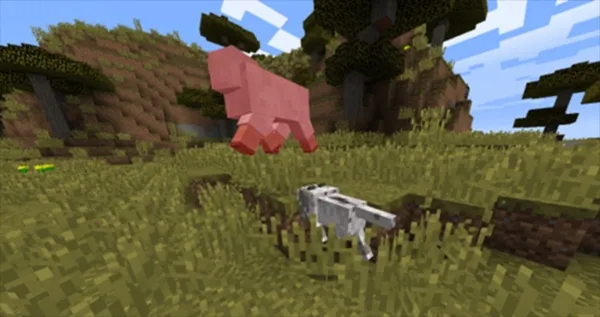 CAT�Ƽ������ֻ����ͼ1