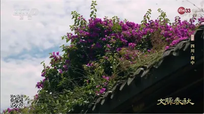 ���ǵ���(����ֱ������)��ͼ0