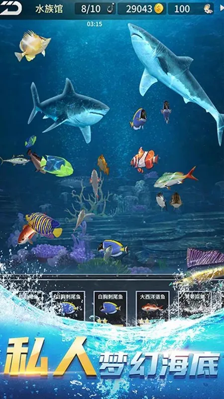 �������2026���°汾