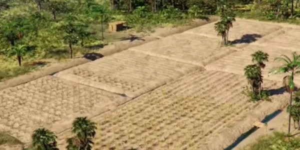 Field Farmersũ��ģ����(ũ��ģ����Ϸ)v3.3 �ֻ����ͼ0