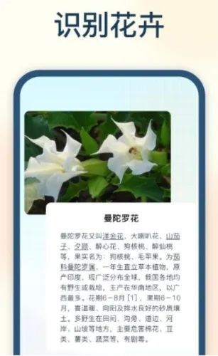 �Ծ��������ֻ���