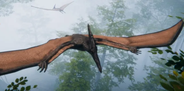 ʷǰ���껪���°�׿��