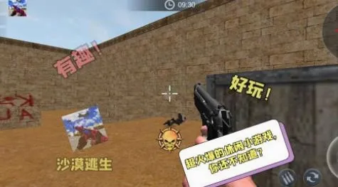 ɳĮ����(ǹս�������)