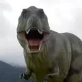 ����ģ�������й���(�����ƻ�ģ����Ϸ)v1.8 �ֻ���