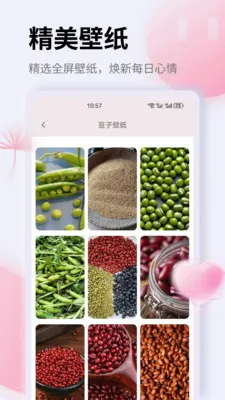 K��(����滮Ӧ��)v1.0.0 ��׿���ͼ3