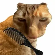 ��è��ë���°�׿��v1.0 �ֻ���