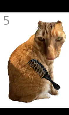 ��è��ë���°�׿��v1.0 �ֻ����ͼ1