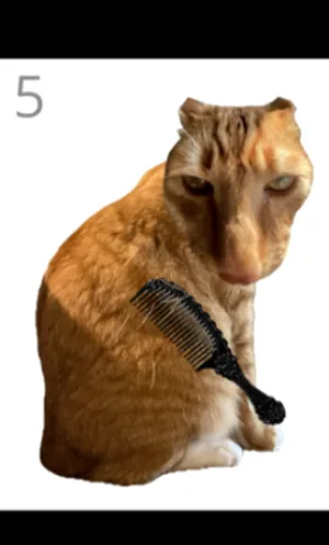 ��è��ë���°�׿��
