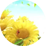 ���տ�Ӣ�������ֻ���v1.0 ��Ѱ�