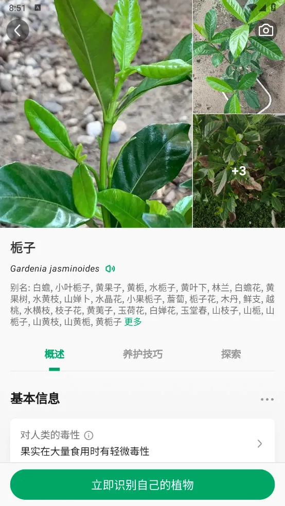 ����ʶ�����°�׿��v2.1.20 �ֻ����ͼ0