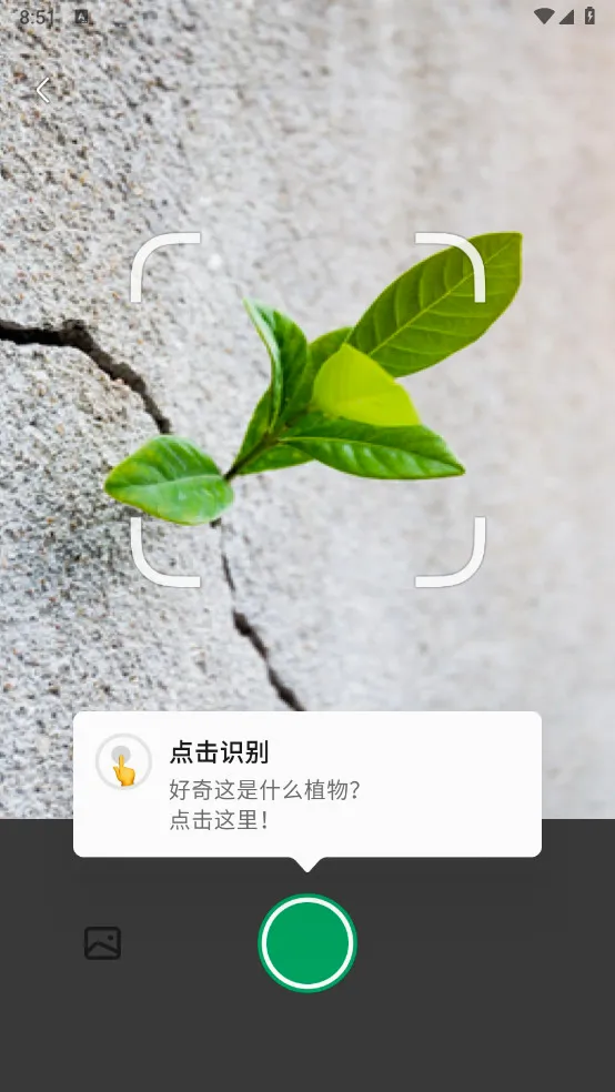 ����ʶ�����°�׿��v2.1.20 �ֻ����ͼ2