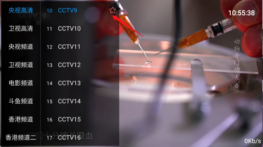 ����TV2026�ٷ����°汾