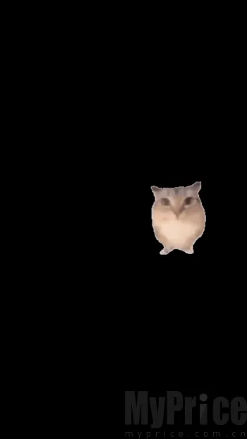 �ͰͲ�һ����(���������Ϸ)