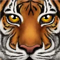 �ռ�����ģ����(�������ð����)v1.2 �ֻ���