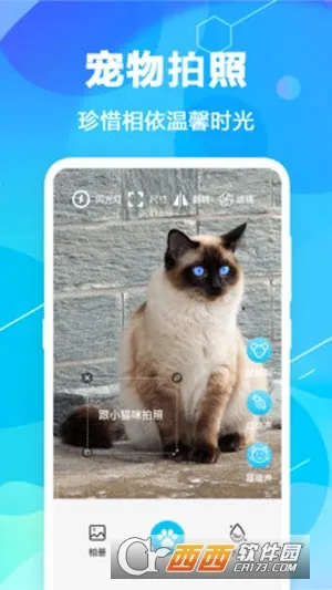 è�﷭��pet�����ֻ���v7.1.7136 �ֻ����ͼ2