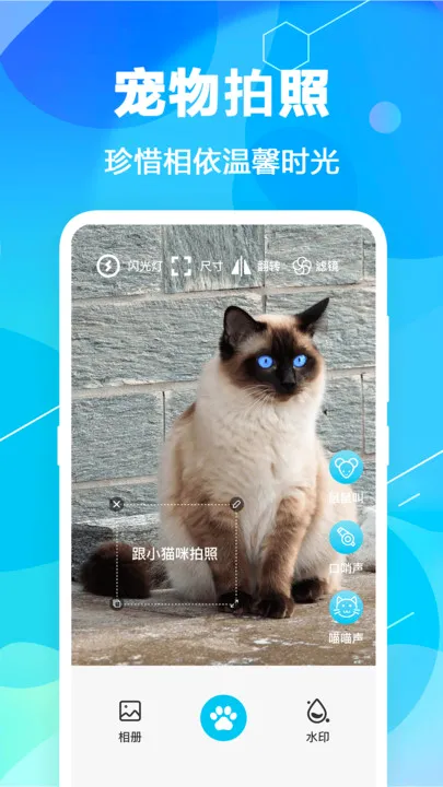 è�﷭��pet�����ֻ���v7.1.7136 �ֻ����ͼ4