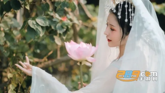 ӳ����2026���°汾