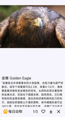 ÿ�ն������°�׿��v1.0.0 �ֻ����ͼ2
