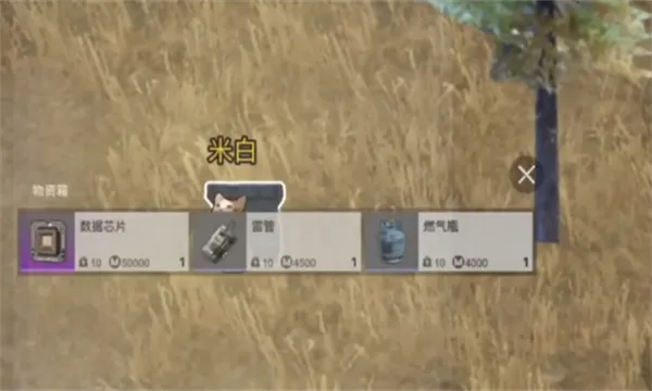 猫猫地铁逃生破解版截图1