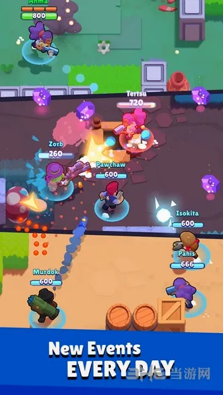 ��Ұ�Ҷ����ʷ����ؽ�ͼ4