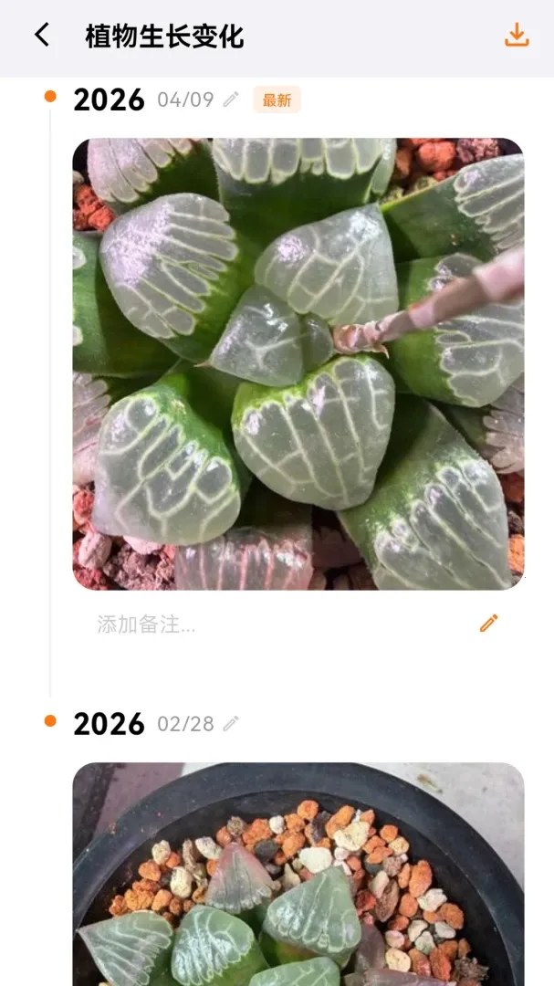 ԰��Ȧ(ֲ��԰�ս���)��ͼ0