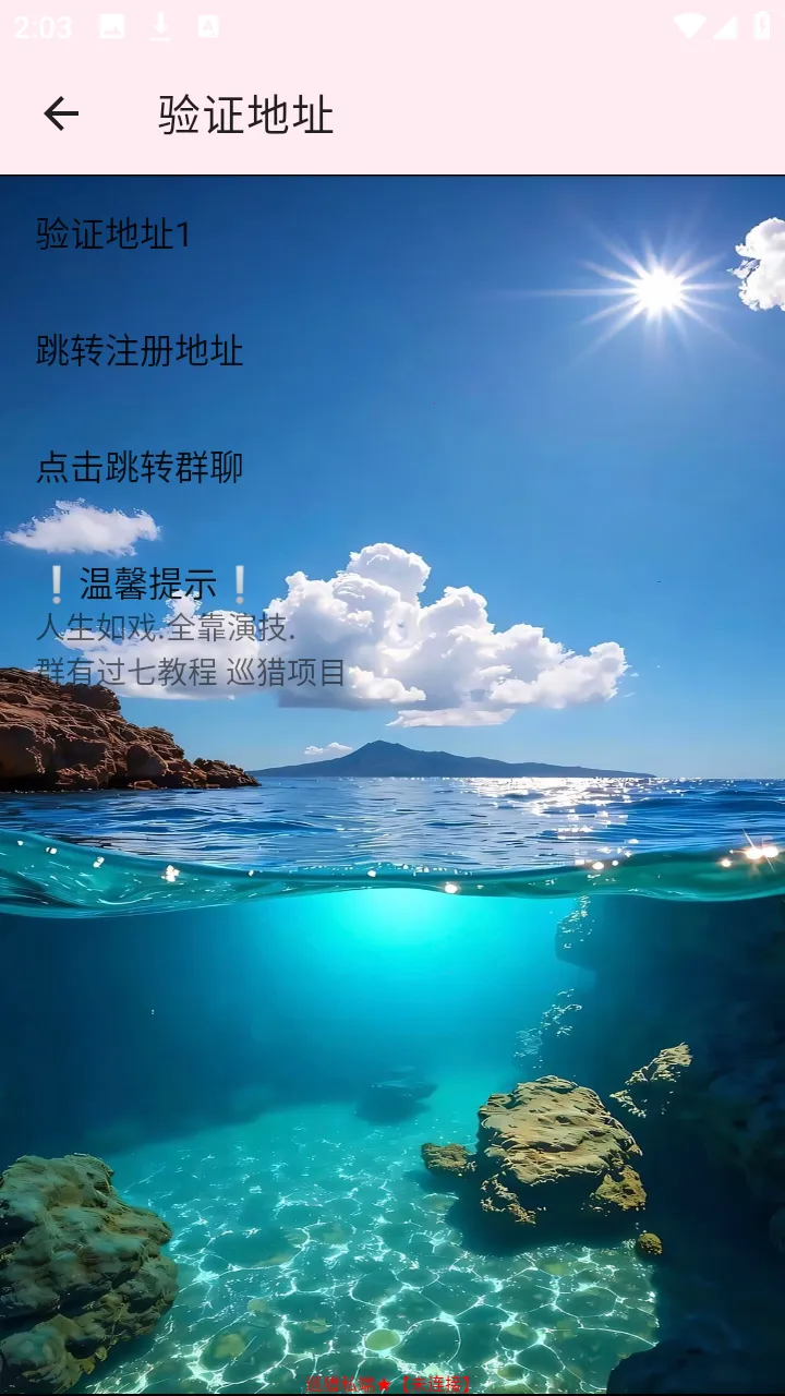 Ѳ��˽��(�����Ż�����)��ͼ3