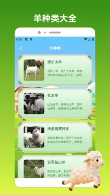 好运小羊2026最新版本v1.3 免费版截图3