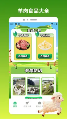 好运小羊2026最新版本v1.3 免费版截图1