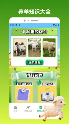 好运小羊2026最新版本v1.3 免费版截图2