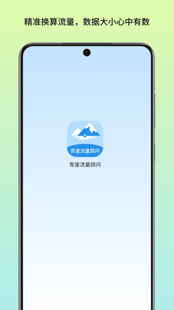 青崖流量顾问(流量管理小工具)v1.3 免费版截图1