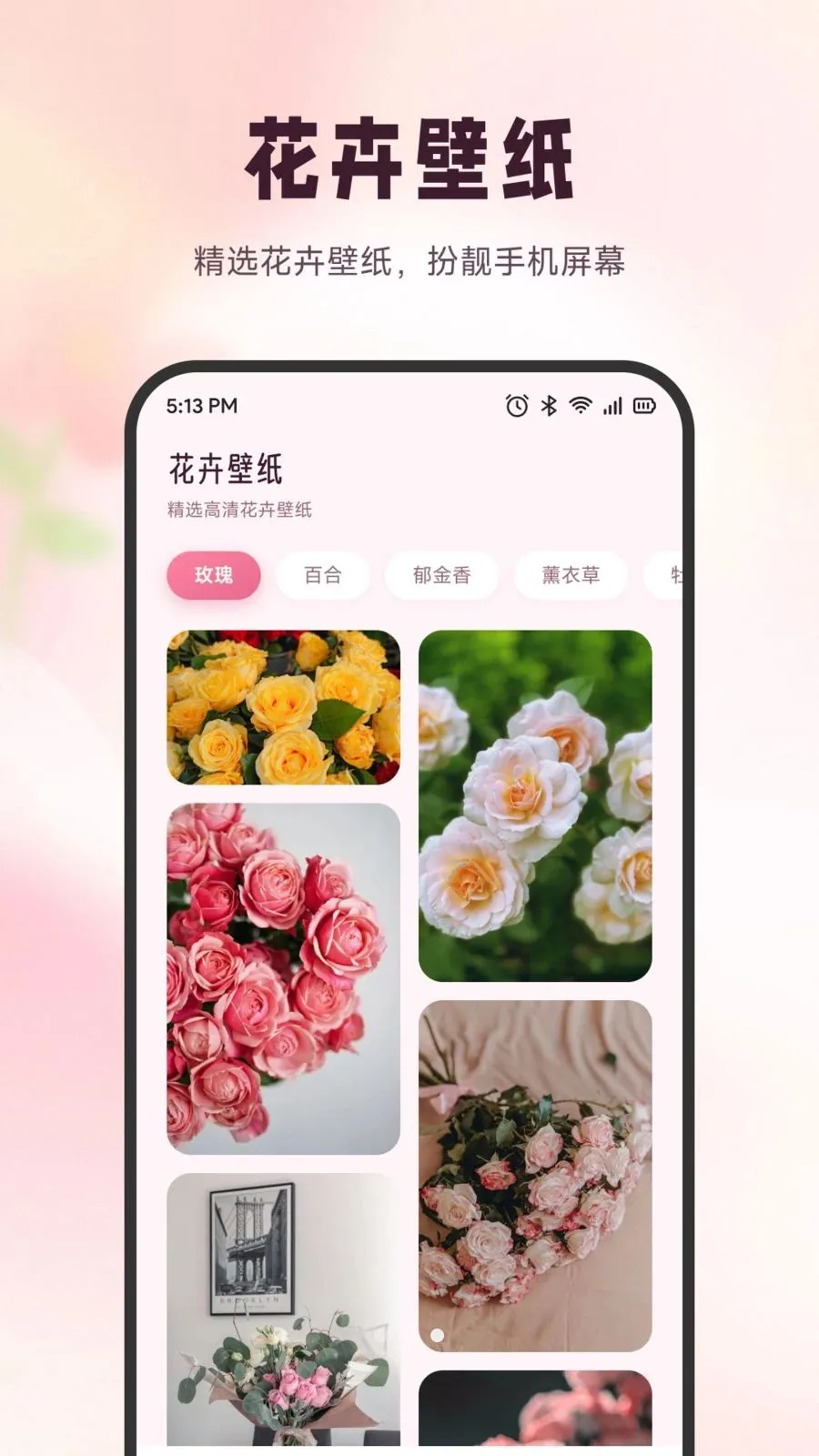 雪融花鉴(识花养花工具)v1.6 安卓版截图1