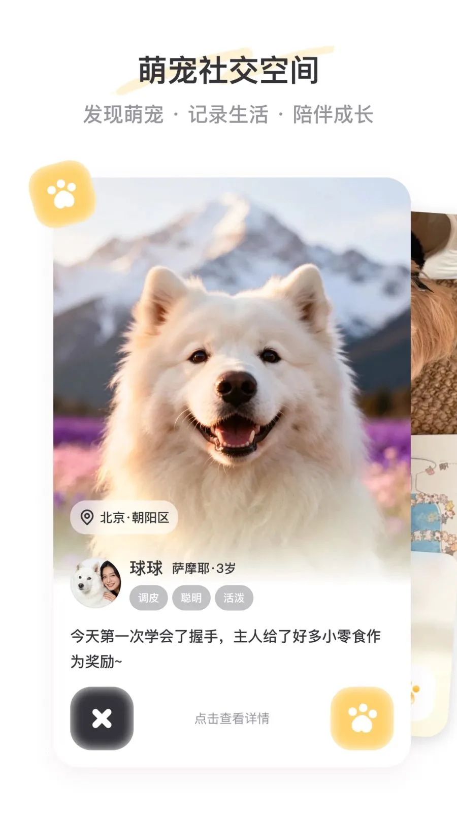 PetSpace2026�ٷ����°汾v2.3.1 ��׿���ͼ1