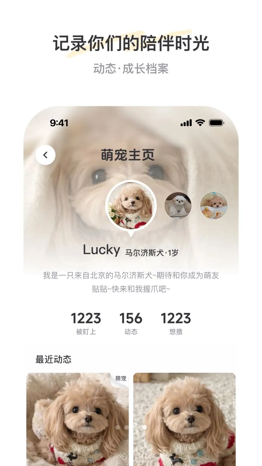 PetSpace2026�ٷ����°汾v2.3.1 ��׿���ͼ3