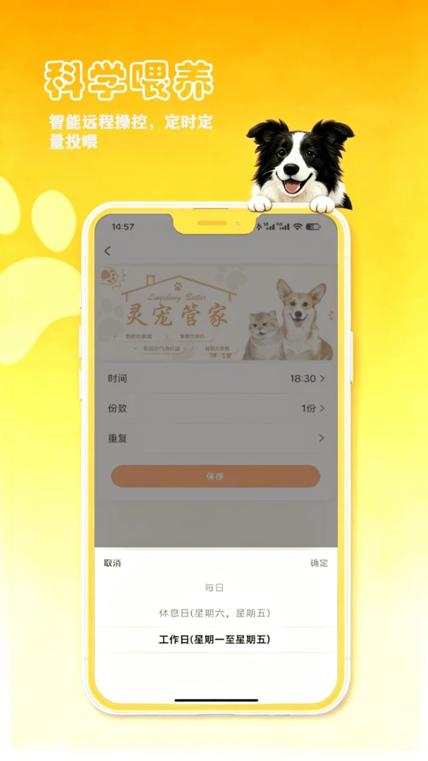 petCompanionR���ܼ����°�׿��v1.0.17 �ֻ����ͼ1