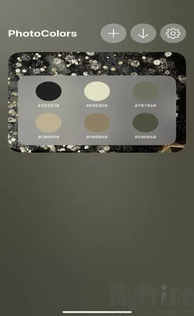 PhotoColors(���մ������)