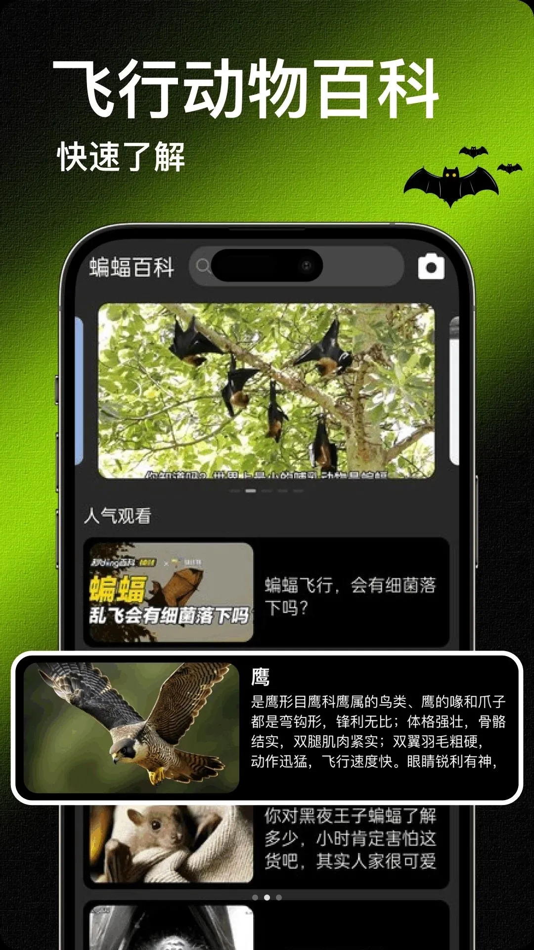 Bat�������°�׿��v1.2 ��Ѱ��ͼ0