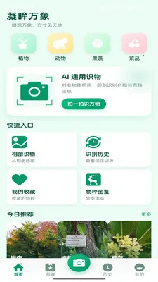 ��������2026���°汾��ͼ1